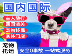 白莲航空物流国际宠物托运 【国